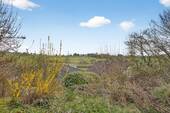 Ausblick Terrasse UG - 