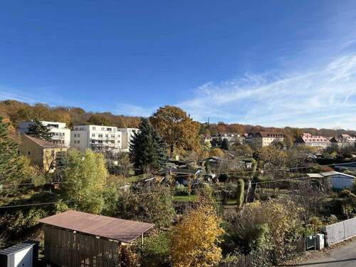 Ausblick über Gärten - 