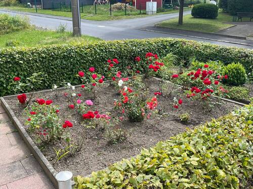 Außenanlage - Mehrfamilienhaus, Wohnhaus mit 185,00 m&sup2; in Cursdorf zum Kaufen