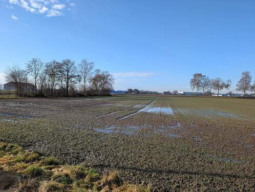 Blick von Osten/ Straßenseite - Grundstück zum Kaufen in Baar-Ebenhausen