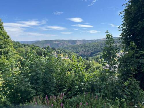 Fernblick - Mehrfamilienhaus, Wohnhaus mit 138,00 m&sup2; in Deesbach zum Kaufen