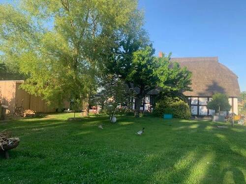 Garten - 