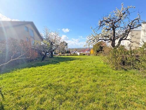 Grundstück - Grundstück zum Kaufen in Weinheim / Lützelsachsen