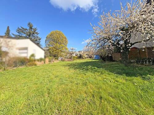 Grundstück - Grundstück in Weinheim / Lützelsachsen