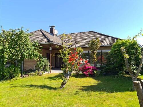 IMG-20250517-WA0032 - 