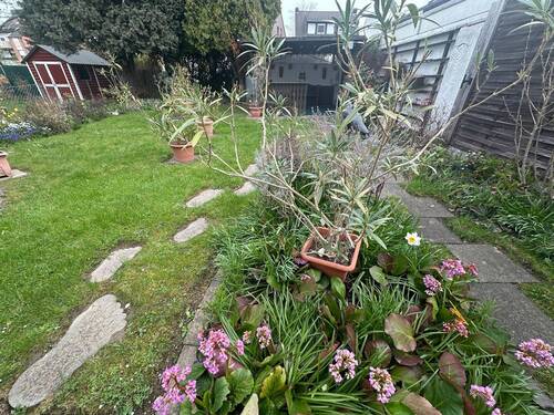 wunderbarer Garten - 