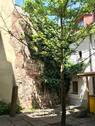 IMG-20210603-WA0014 - 