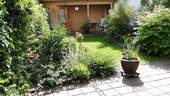 eingewachsener Garten - 