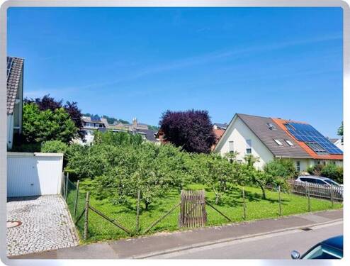 Ansicht - Grundstück zum Kaufen in Rüdesheim am Rhein