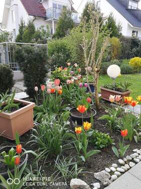 Garten - 