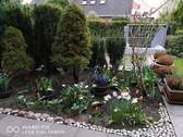 Gartenanteil - 