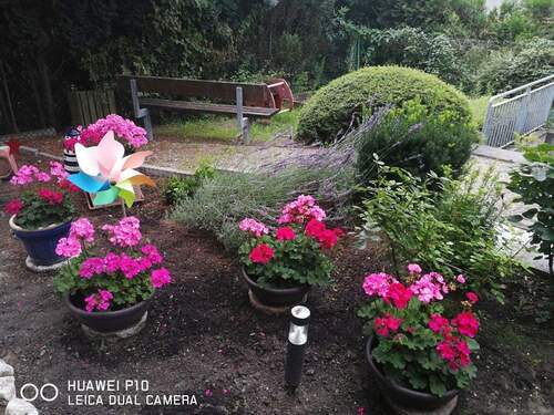 Garten - 