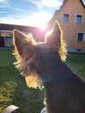Bild 13 - 