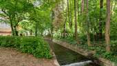 Umgebung 1 - 