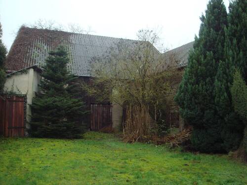 Bild 8,9,10, Baumbewuchs Innenhofbereich - 