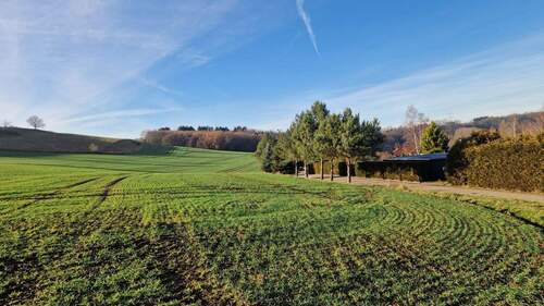 4.jpeg - Grundstück zum Kaufen in Roßwein