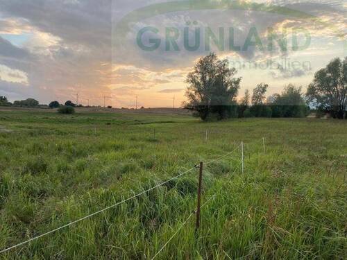 Bild 4 - Grundstück in Landin zum Kaufen