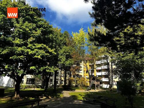 Gepflegte Außenanlage - 