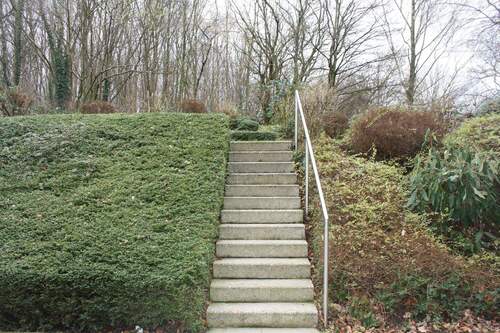 Gemeinschaftsgarten - 