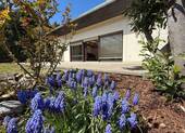 Herrlicher Garten - 