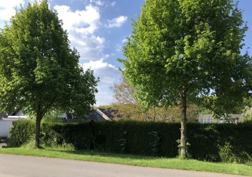 Grundstück Ansicht Top - 