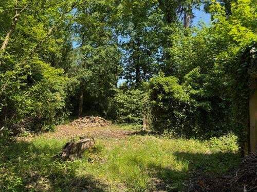 Ein Plätzchen zum Wohlfühlen - Waldwinkel Machern: Wo Natur Heimat wird - ein Grundstück wie kein zweites