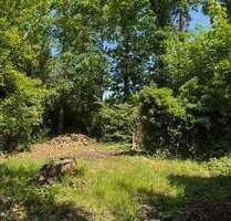 Waldwinkel Machern: Wo Natur Heimat wird - ein Grundstück wie kein zweites