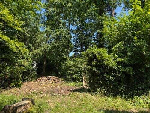 ein wahrlich schönes Fleckchen Erde - 