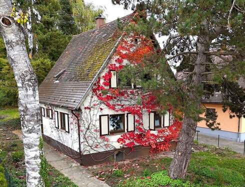 Außenansicht vorne - Charmantes Einfamilienhaus mit großem Garten in ruhiger Lage, Villingen-Schwenningen!