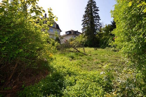 Baufenster 2_Ansicht Süden - Grundstück in Kronberg im Taunus zum Kaufen