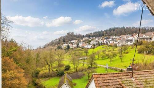 Ausblick Schloss - 