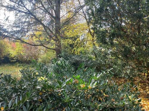 von der kleinen Terrasse aus - 