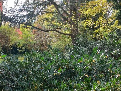 Wohnen umgeben von Natur - Wohnen umgeben von Natur in der besten Lage von Krailling und mit super Anbindung! Provisionsfrei