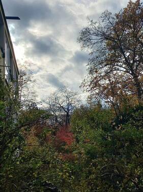 von der großen Terrrasse aus - 