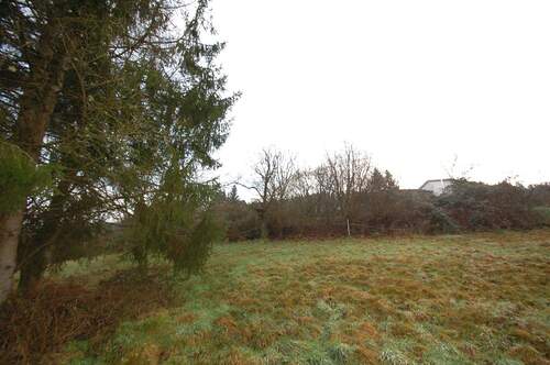 Bild 1 - Schönes Hanggrundstück in Eberbach OT