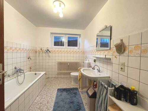 ZFH-Iltis3-STD-18.JPG - 