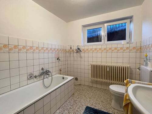 ZFH-Iltis3-STD-20.JPG - 