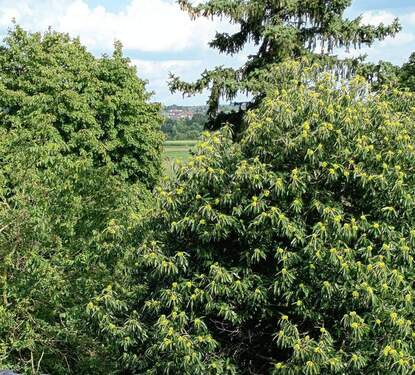 von Küche und Bad Ausblick auf - Schöne Aussichten - 590,00 EUR Kaltmiete, ca.  75,00 m² Wohnfläche
