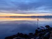 Umgebungsfoto - die Schlei - 