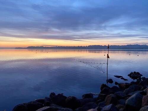Umgebungsfoto - die Schlei - 