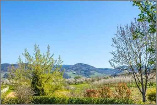 Ausblick oberer Garten - 