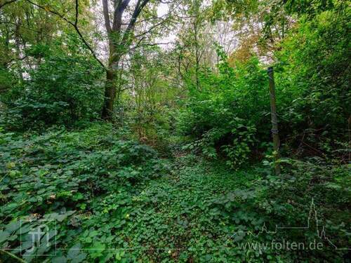naturbelassenes Grundstück - Einfamilienhaus mit 145,00 m² in Moormerland zum Kaufen