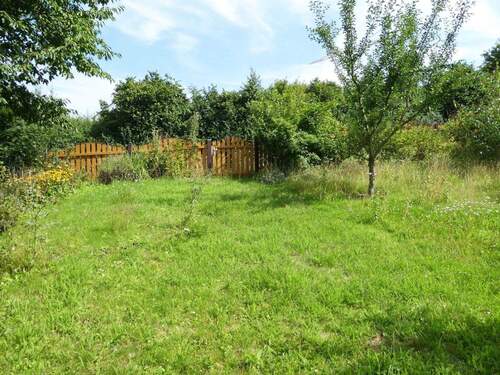 Blick in den Garten - 