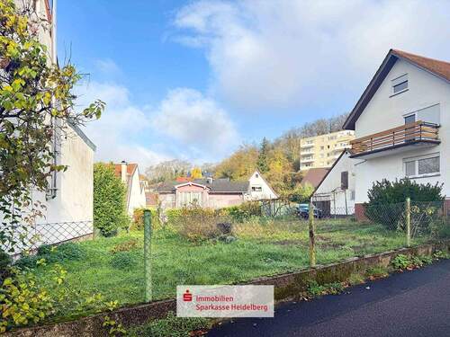 Außenansicht - Abrissgrundstück mit viel Potential in Ortsrandlage von Nußloch!