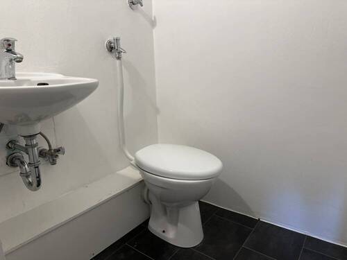 WC DG - 