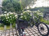 Innenhof - 