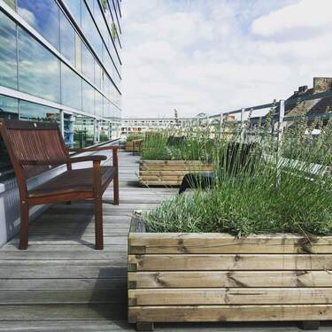 Dachterrasse - Büro zur Miete in Köln