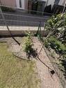 Bild 24 - 