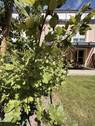 Bild 28 - 
