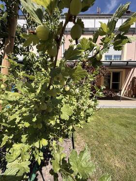 Bild 28 - 